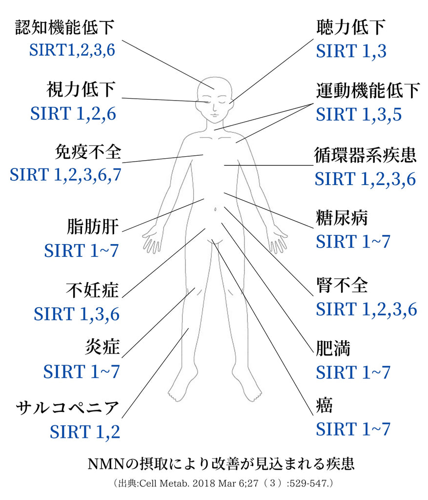 （日本語）β-NMN 18000