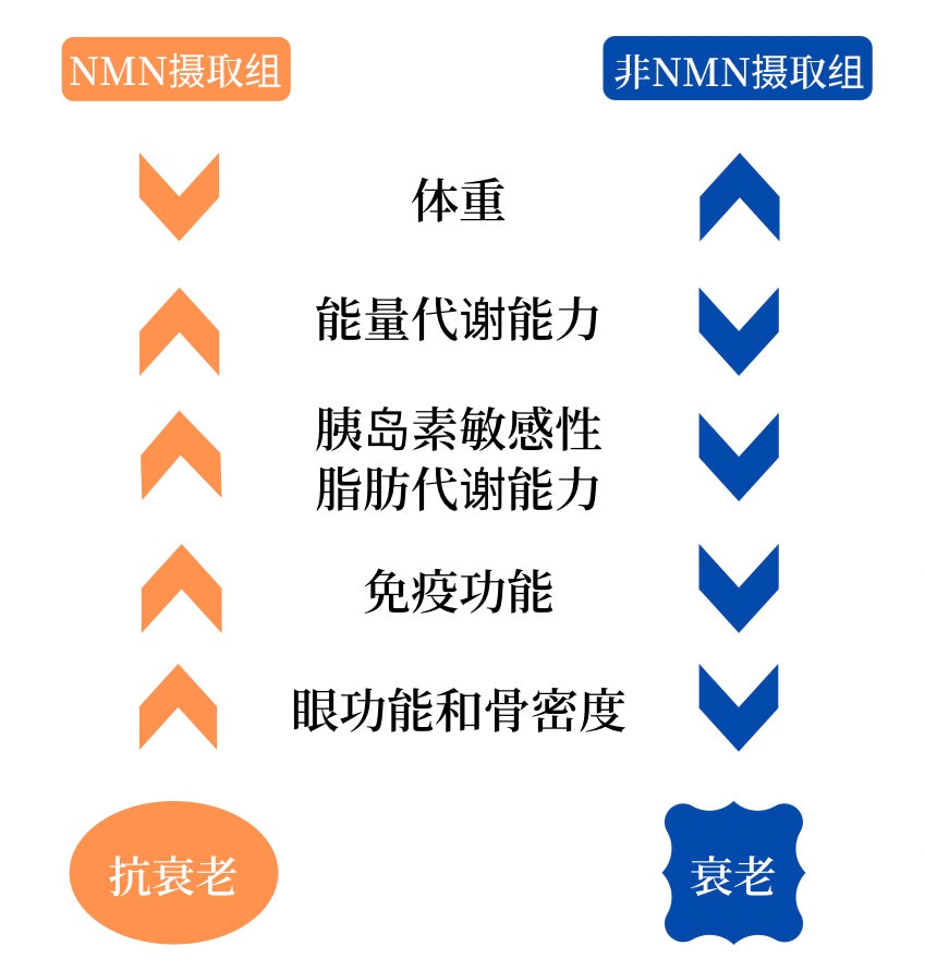 (簡体中文) β-NMN 18000